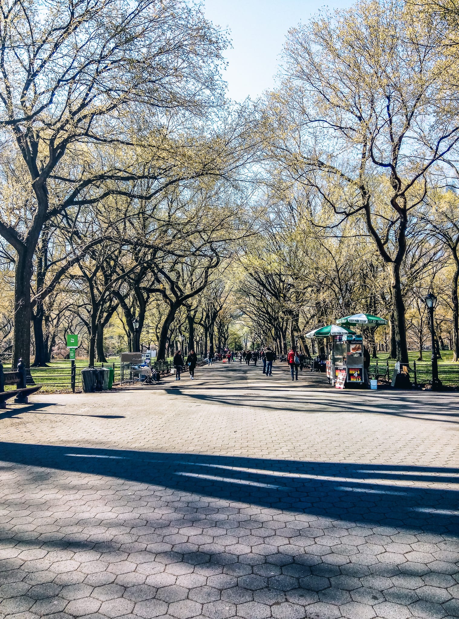 Central Park à Manhattan