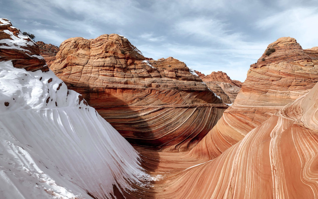 La visite de The Wave aux Coyote Buttes North